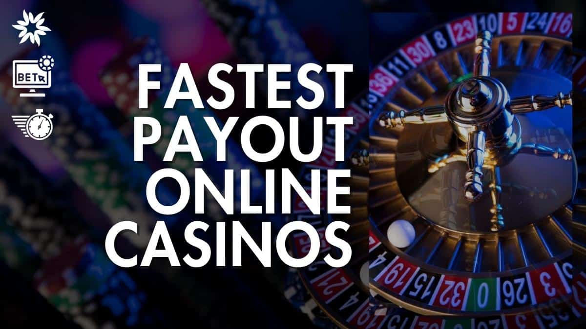 Actual Cash Online Casinos 2024